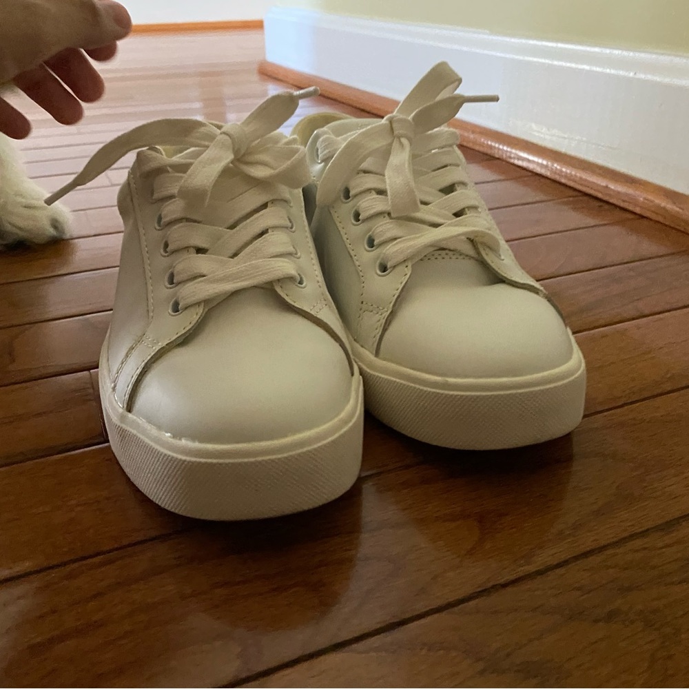 Sam Edelman, Ethyl Low Top Sneaker (Women)